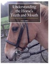 Understanding The Horse'S Teeth And Mouth