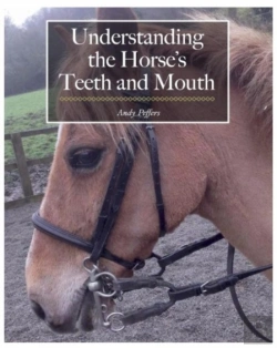 Bertrand.pt - Understanding The Horse'S Teeth And Mouth