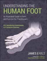 Understanding The Human Foot