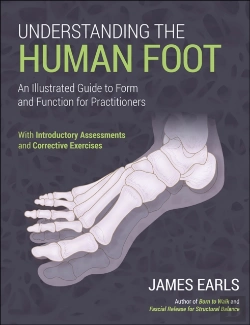 Bertrand.pt - Understanding The Human Foot