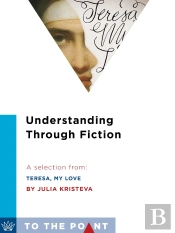 Understanding Through Fiction