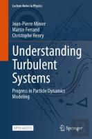 Understanding Turbulent Systems