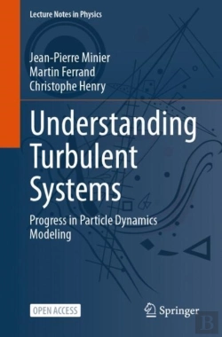 Bertrand.pt - Understanding Turbulent Systems