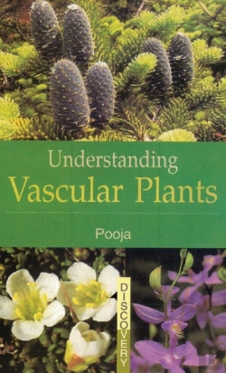 Bertrand.pt - Understanding Vascular Plants