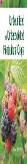 Underutilized And Underexploited Horticultural Crops: Vol 03