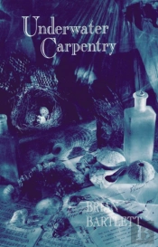 Underwater Carpentry