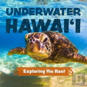 Underwater Hawai'I: Exploring The Reef