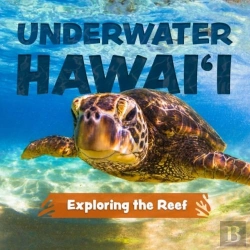 Bertrand.pt - Underwater Hawai'I: Exploring The Reef