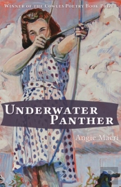 Underwater Panther