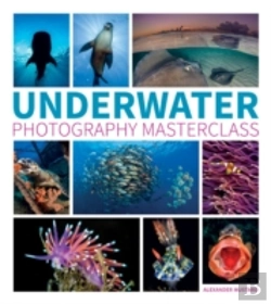 Bertrand.pt - Underwater Photography Masterclass