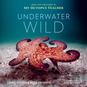 Underwater Wild