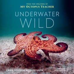 Bertrand.pt - Underwater Wild