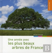 Une Année Avec Les Plus Beaux Arbres De France