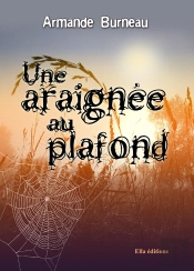 Une Araignee Au Plafond