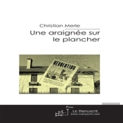 Une Araignée Sur Le Plancher