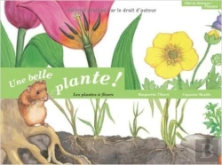 Bertrand.pt - Une Belle Plante