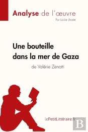 Une Bouteille Dans La Mer De Gaza De Valérie Zenatti