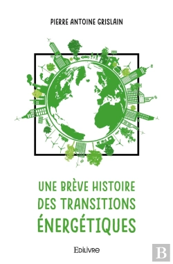 Bertrand.pt - Une Brève Histoire Des Transitions Énergétiques