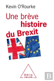 Une Breve Histoire Du Brexit