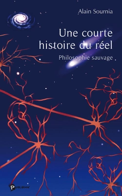 Bertrand.pt - Une Courte Histoire Du Réel ; Philosophie Sauvage