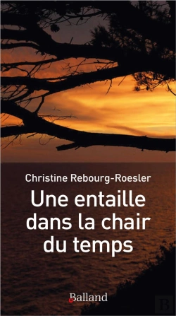 Bertrand.pt - Une Entaille Dans La Chair Du Temps