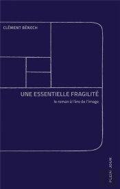 Une Essentielle Fragilité ; Le Roman À L'Ère De L'Image