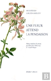Une Fleur Attend La Pendaison
