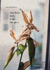 Une Fleur Dans La Vie Des Gens