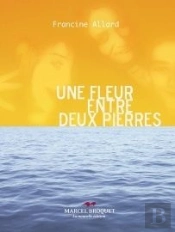 Une Fleur Entre Deux Pierres