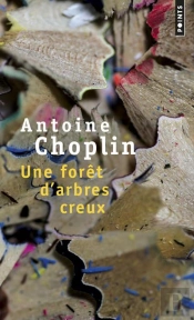 Une Forêt D'Arbres Creux