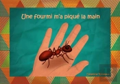 Une Fourmi M'A Pique La Main