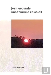 Une Fourrure De Soleil