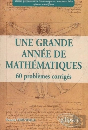 Une Grande Année De Mathématiques :  Prépa Économique Et Commerciale Option Scientifique