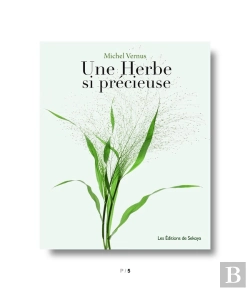 Bertrand.pt - Une Herbe Si Précieuse