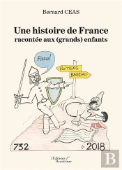 Une Histoire De France Racontée Aux (Grands) Enfants