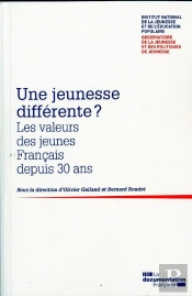 Une Jeunesse Differente ? Les Valeurs Des Jeunes Francais Depuis 30 Ans