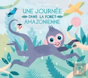 Une Journee Dans La Foret Amazonienne