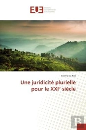 Une Juridicite Plurielle Pour Le Xxi  Siecle