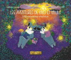 Bertrand.pt - Une Naissance Attendue : Les Aventures De Kiko Et Kilulu