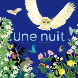 Bertrand.pt - Une Nuit