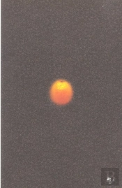 Une Orange Roulant Sur Le Sol D'Un Parking