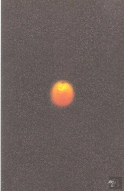 Bertrand.pt - Une Orange Roulant Sur Le Sol D'Un Parking
