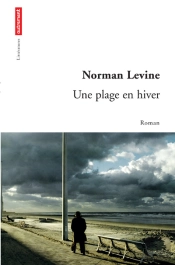 Une Plage En Hiver