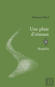 Une Pluie D'Oiseaux