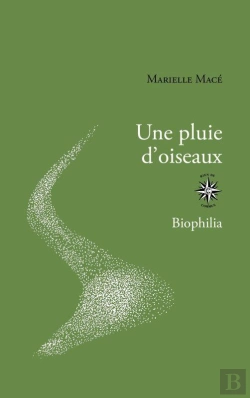 Bertrand.pt - Une Pluie D'Oiseaux