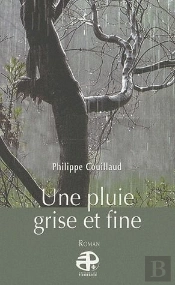 Une Pluie Grise Et Fine