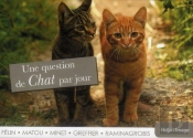 Une Question De Chat Par Jour 2013