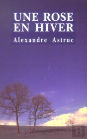 Une Rose En Hiver