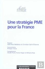 Une Stratégie Pme Pour La France