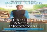 Unexpected Amish Proposal, An